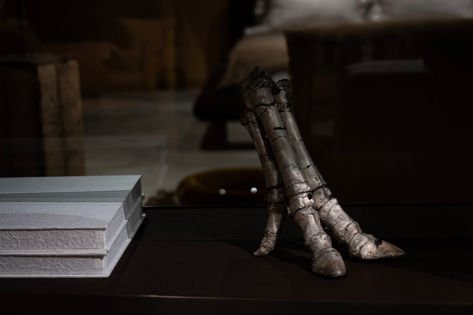 米津真理奈 Contact 033