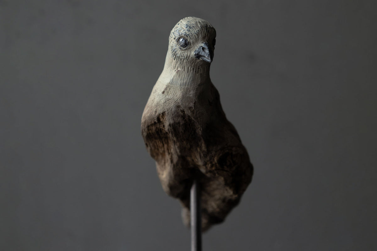 Norihisa Mizuta / bird with pewter accents