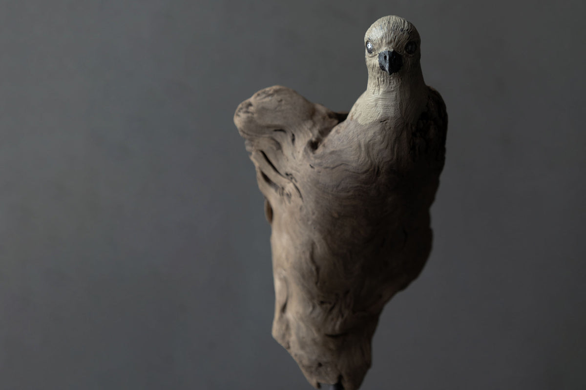 Norihisa Mizuta / bird with pewter accents