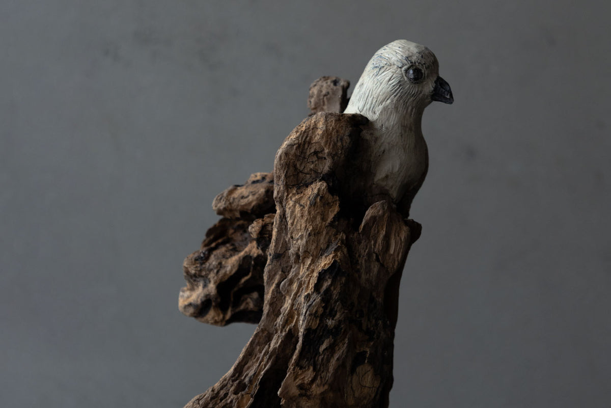 Norihisa Mizuta / bird with pewter accents
