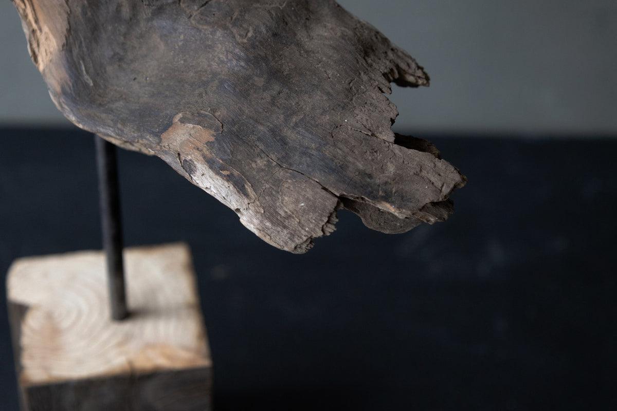 Norihisa Mizuta / Brass and Driftwood Horse B